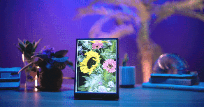 Flower Point Cloud Photogrammetry by mosheca 