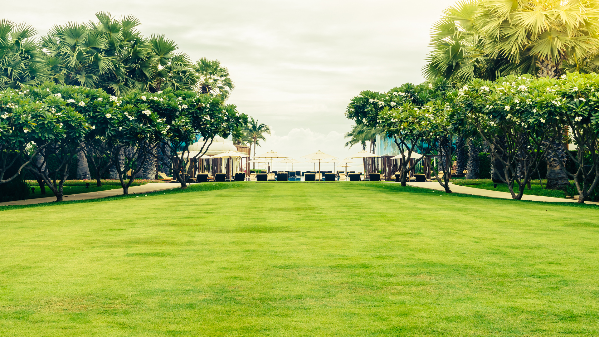 Autonomous Mowing with ® RealSense™ and Greenzie